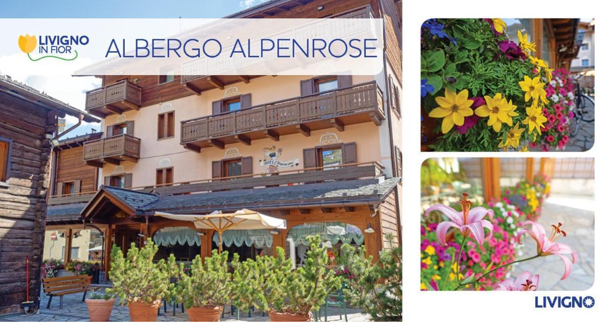 Albergo Alpenrose Livigno Luaran gambar